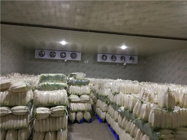 武漢冷庫-食品保鮮冷庫